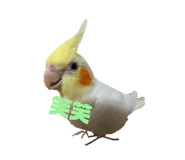 745787184