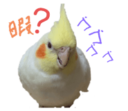 745787185