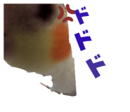 745787187