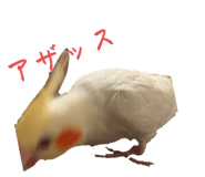 745787188