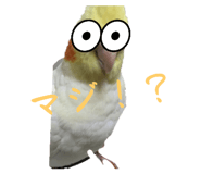 745787191