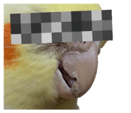 745787192