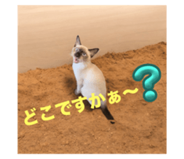 745787264