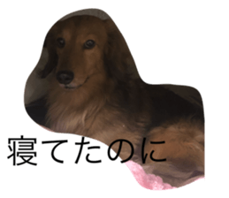 745787595