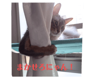 745789745