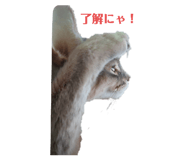 745789755