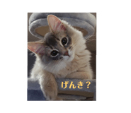 745789760