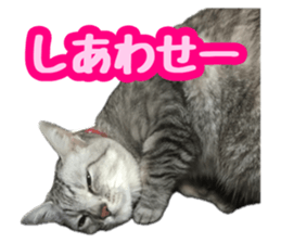 745794476