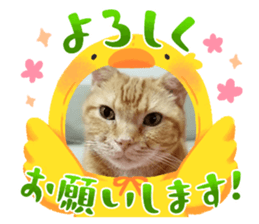 745807776