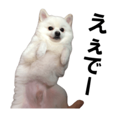 745828896