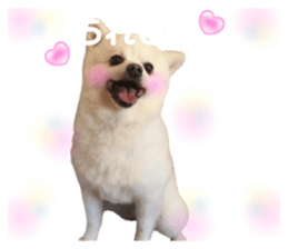 745828900