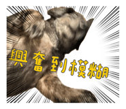 745830455