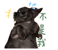 745830456