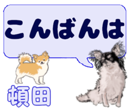 745833666