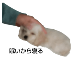 745840851