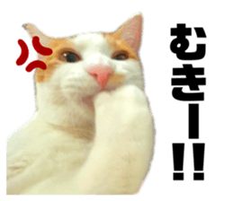 745858609