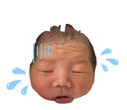 745865631