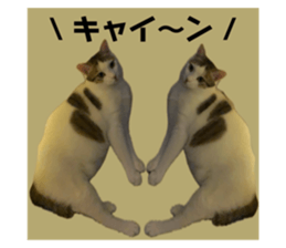 745883802