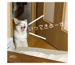 745883820