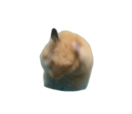 745898858