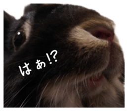 745899060