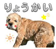 745902506