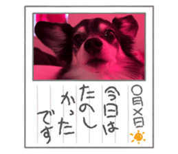745902530