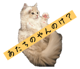 745903877