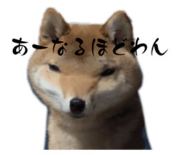 745929828