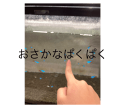 745933676