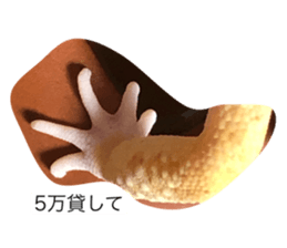 745933956