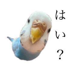 745949242