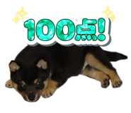745952898