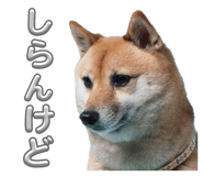 745952907
