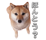 745952909