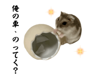 745953185