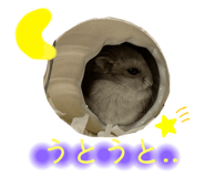 745953197