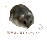 745953205
