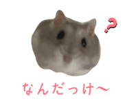 745953206