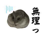 745953498