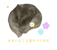 745953499