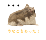 745953504
