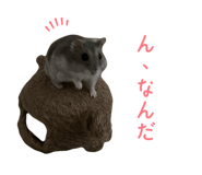 745953512
