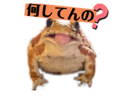 745954550