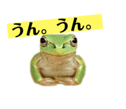 745954551