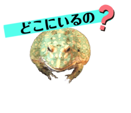 745954553