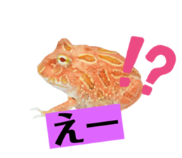 745954556
