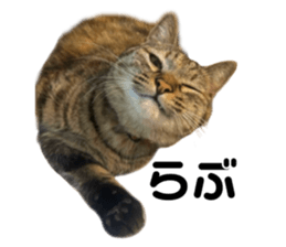 745955057