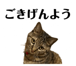745955065