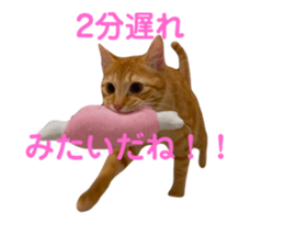 745960034